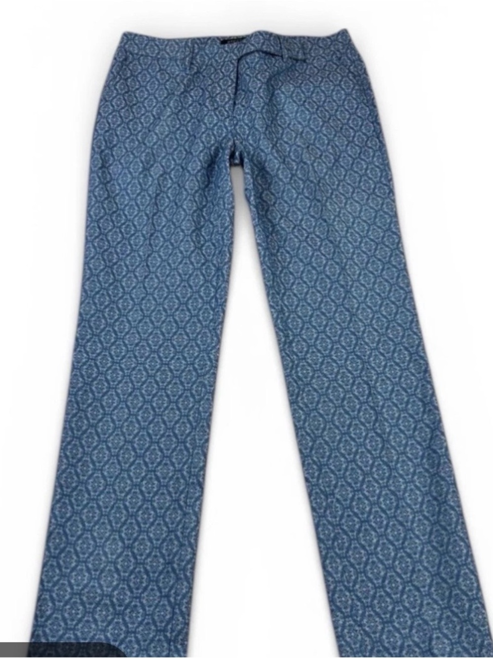Etcetera Blue Printed Straight-Leg Pants